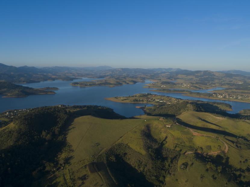Novas árvores para Bragança